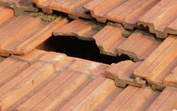 roof repair Wilson